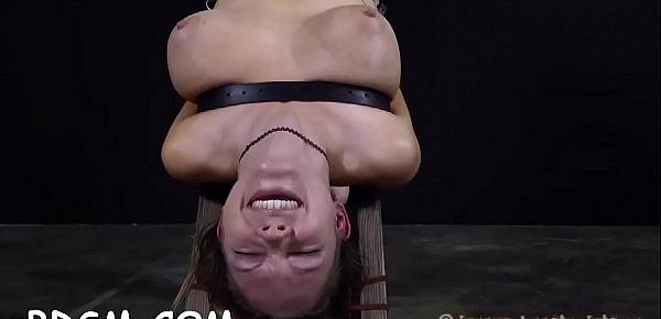 Collars sadomasochism